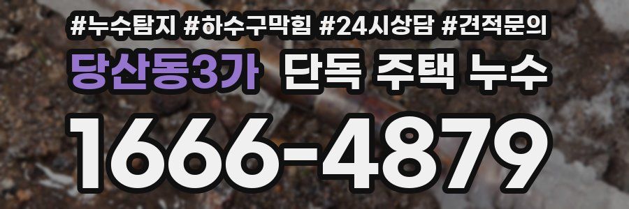 당산동3가 단독 주택 누수
