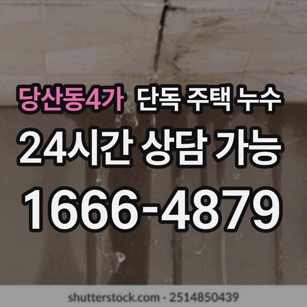 당산동4가 단독 주택 누수 작은 얼룩도 가볍게 보면 안 되는 이유