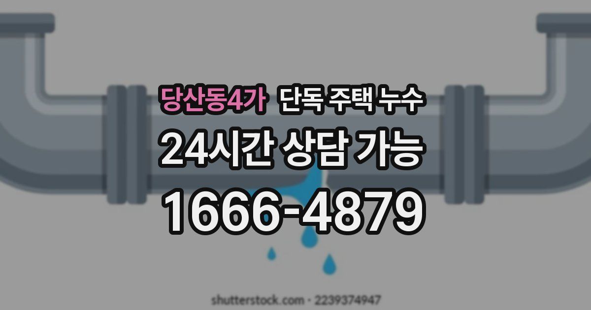 당산동4가 단독 주택 누수