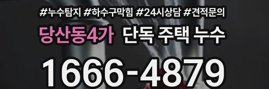 당산동4가 단독 주택 누수