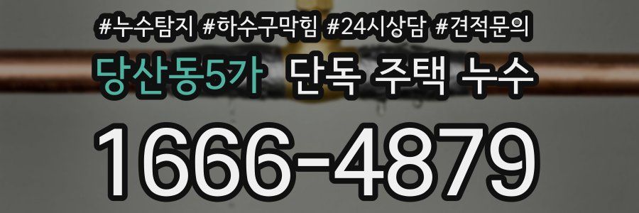 당산동5가 단독 주택 누수