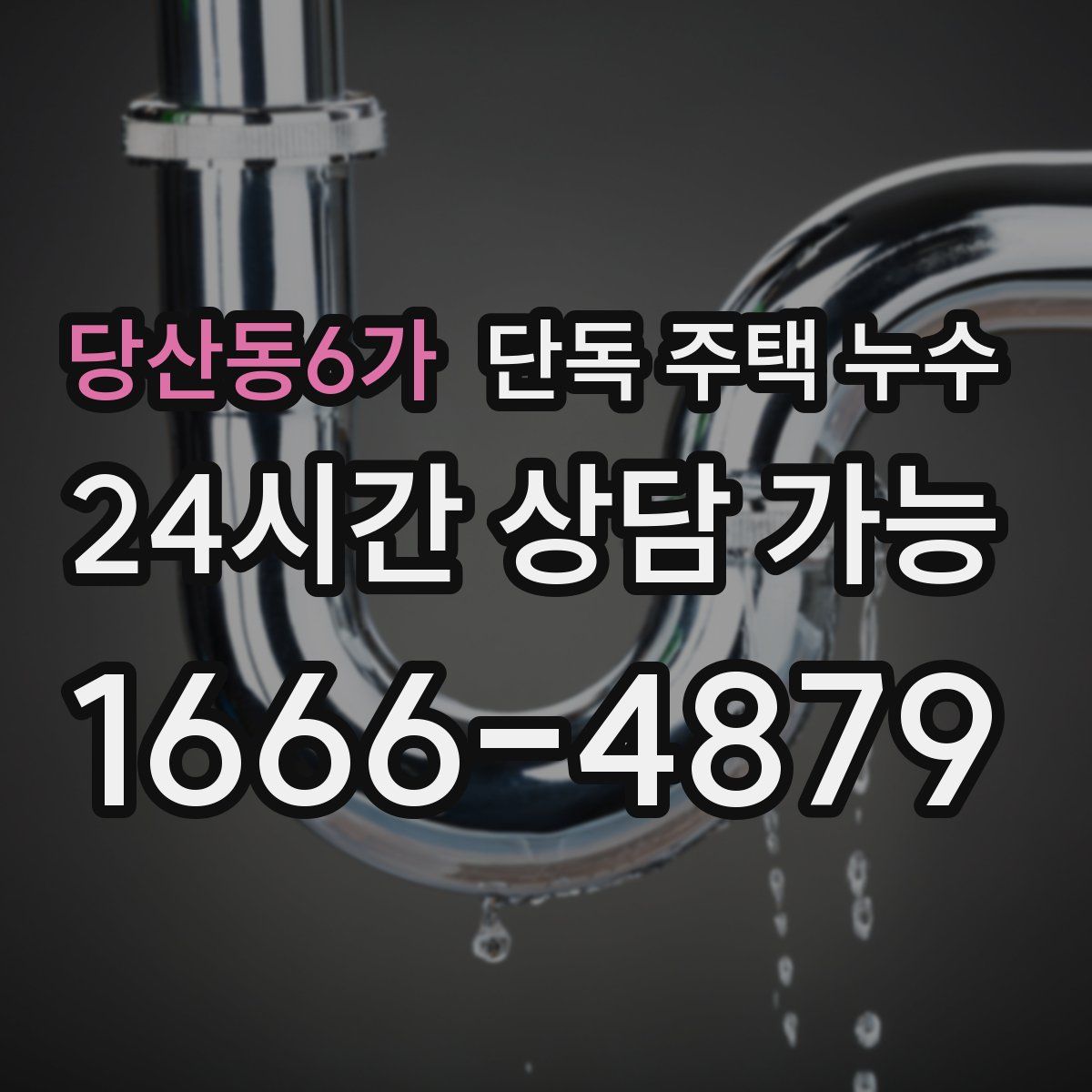 당산동6가 단독 주택 누수