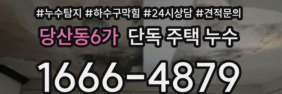 당산동6가 단독 주택 누수