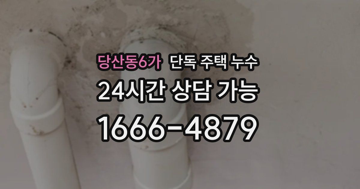 당산동6가 단독 주택 누수