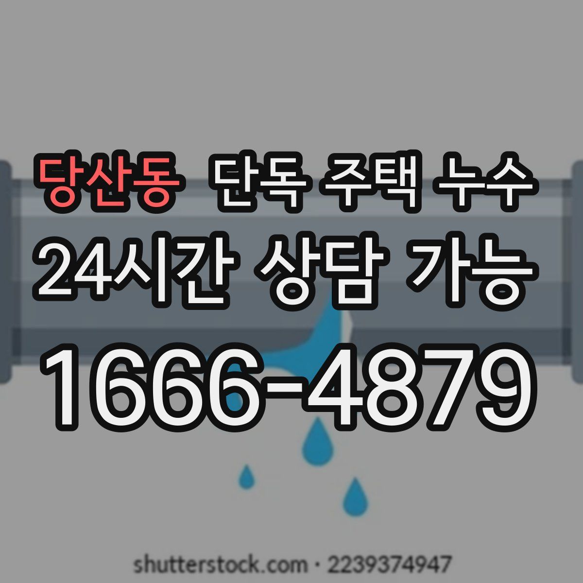 당산동 단독 주택 누수