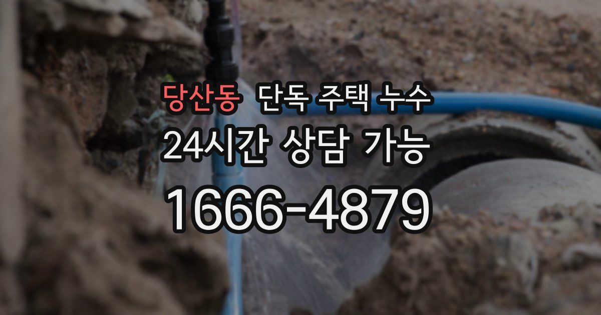 당산동 단독 주택 누수