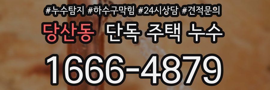 당산동 단독 주택 누수