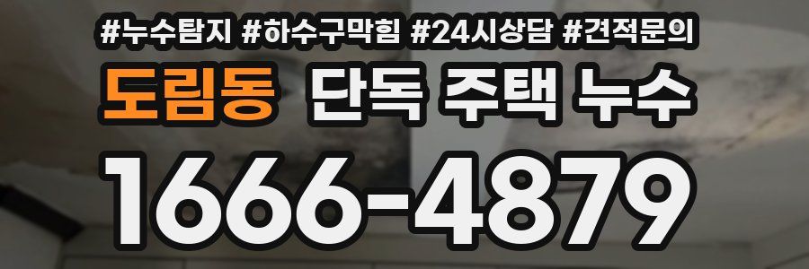 도림동 단독 주택 누수