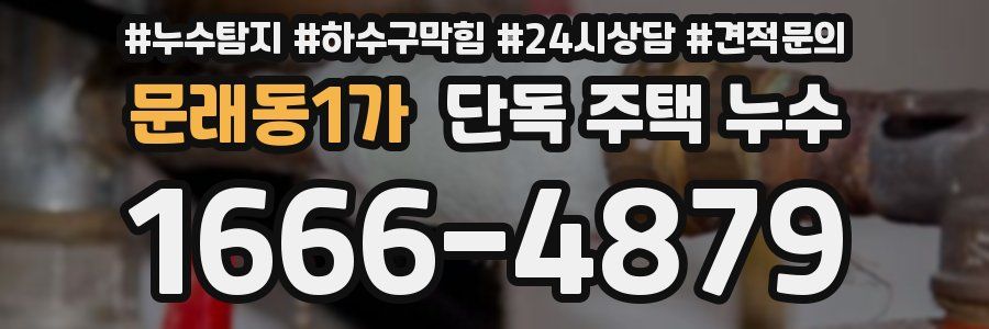 문래동1가 단독 주택 누수