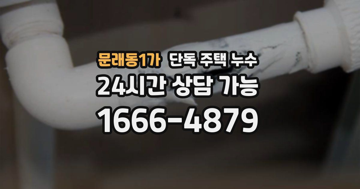 문래동1가 단독 주택 누수