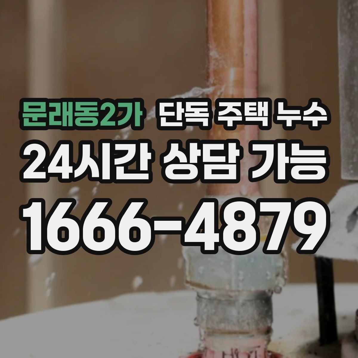 문래동2가 단독 주택 누수 샤워 후 거실 쪽까지 습기가 퍼질 때