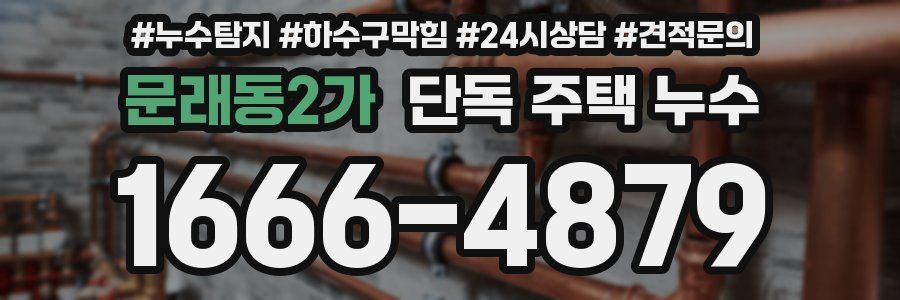 문래동2가 단독 주택 누수