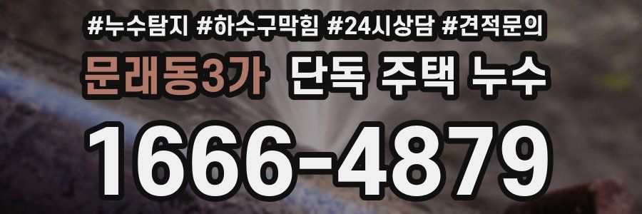 문래동3가 단독 주택 누수