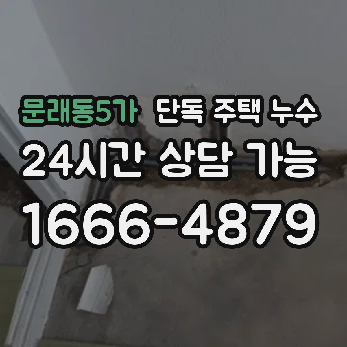 문래동5가 단독 주택 누수 욕실 바닥 타일 틈새에서 물이 스며들 때