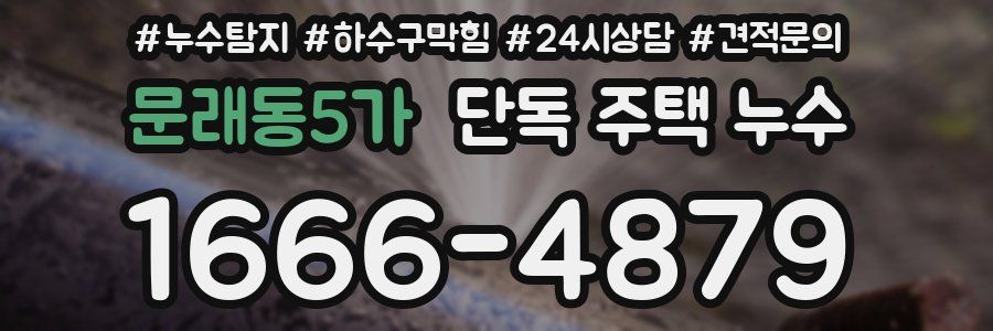 문래동5가 단독 주택 누수