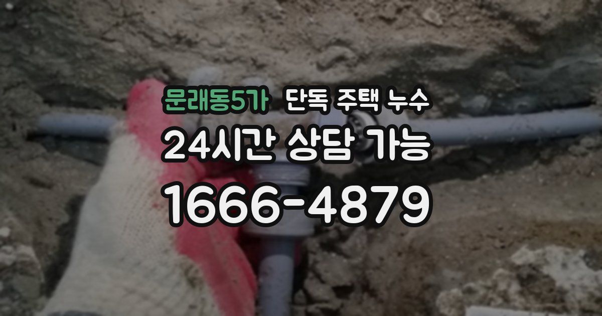 문래동5가 단독 주택 누수
