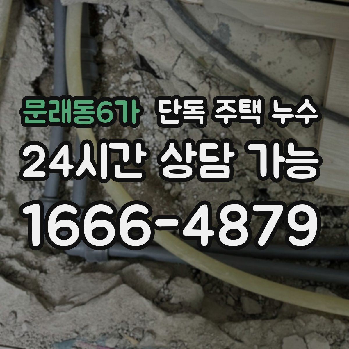 문래동6가 단독 주택 누수 마당 경사와 배수 불량이 원인일 때