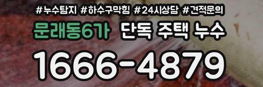 문래동6가 단독 주택 누수