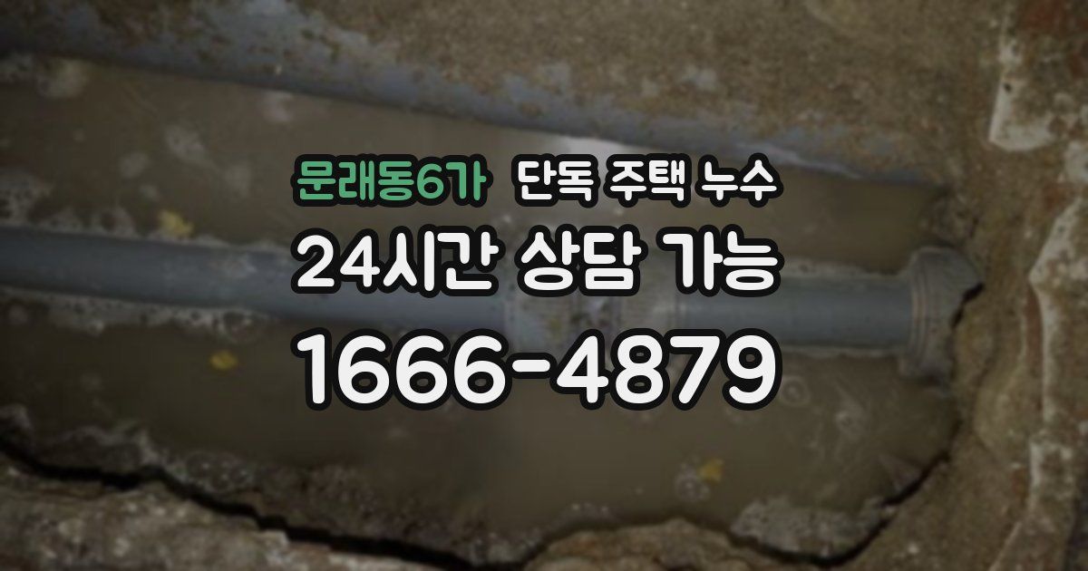 문래동6가 단독 주택 누수