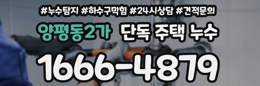 양평동2가 단독 주택 누수