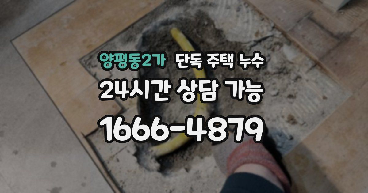 양평동2가 단독 주택 누수