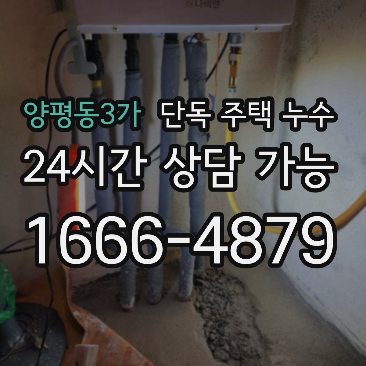 양평동3가 단독 주택 누수