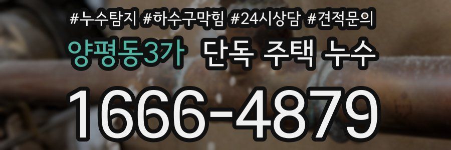 양평동3가 단독 주택 누수
