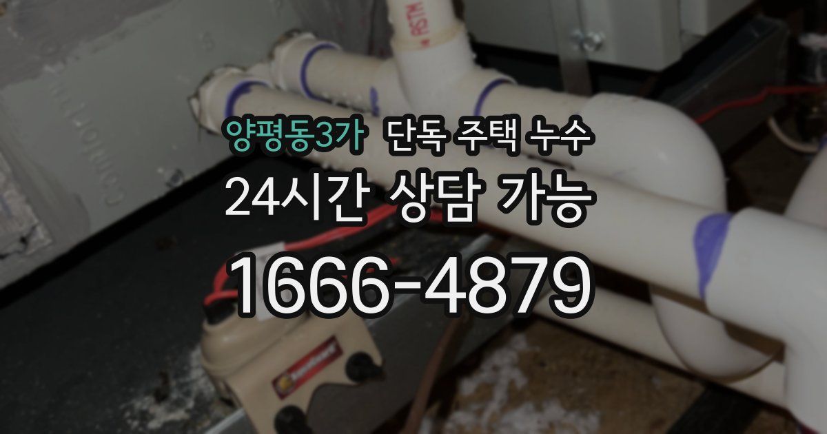 양평동3가 단독 주택 누수