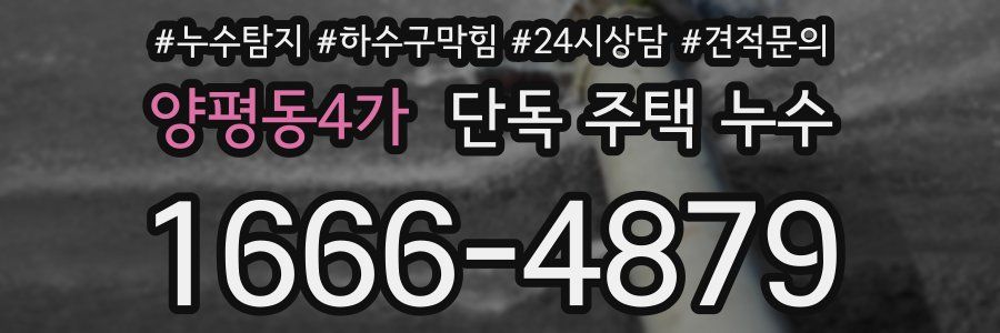 양평동4가 단독 주택 누수