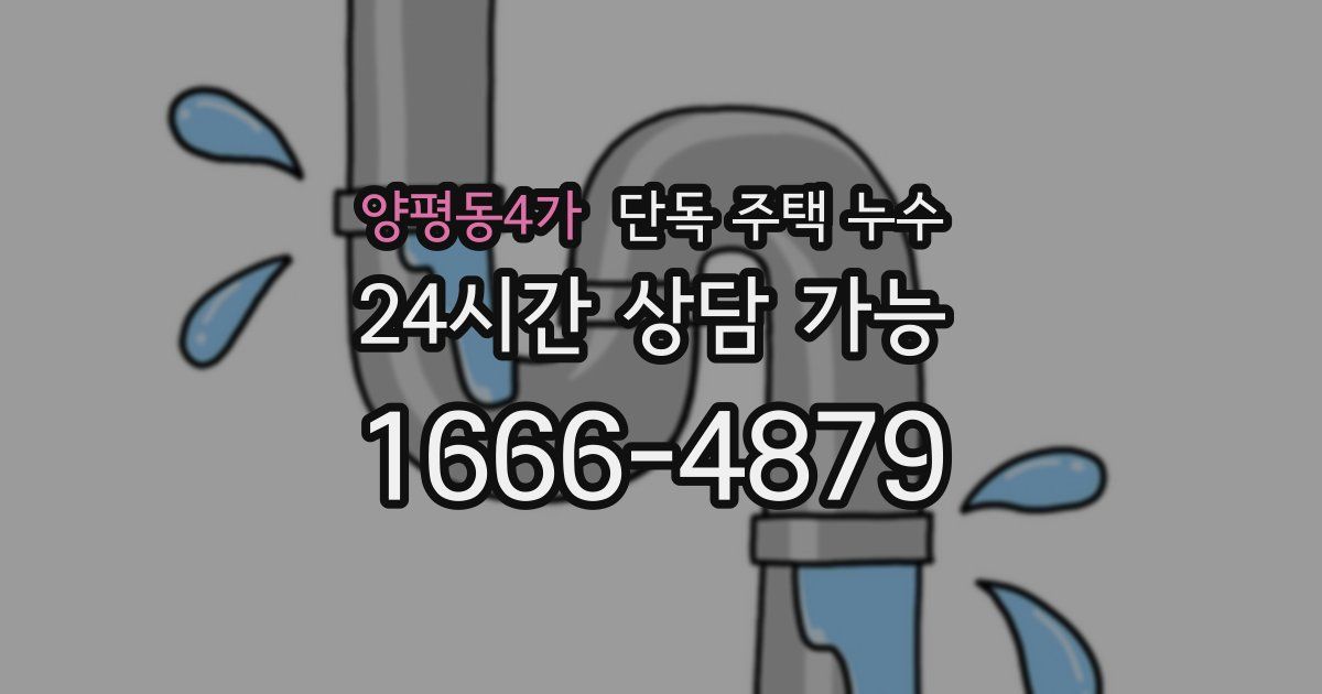 양평동4가 단독 주택 누수