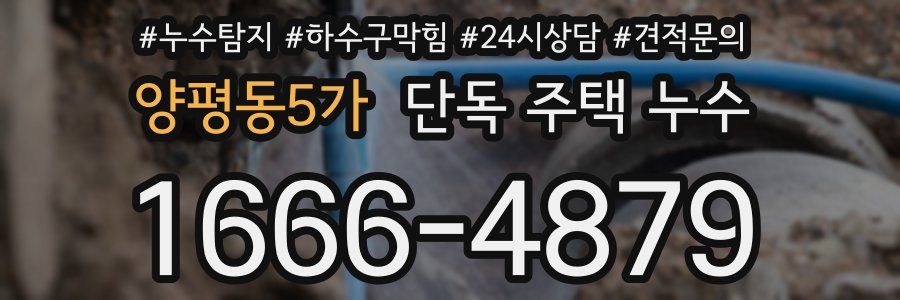 양평동5가 단독 주택 누수