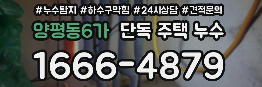 양평동6가 단독 주택 누수