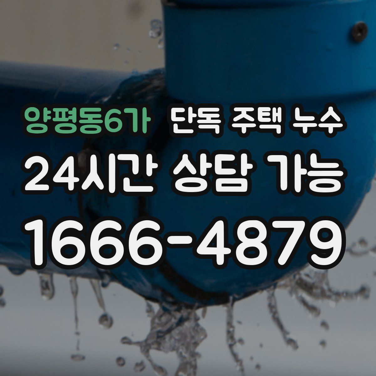 양평동6가 단독 주택 누수