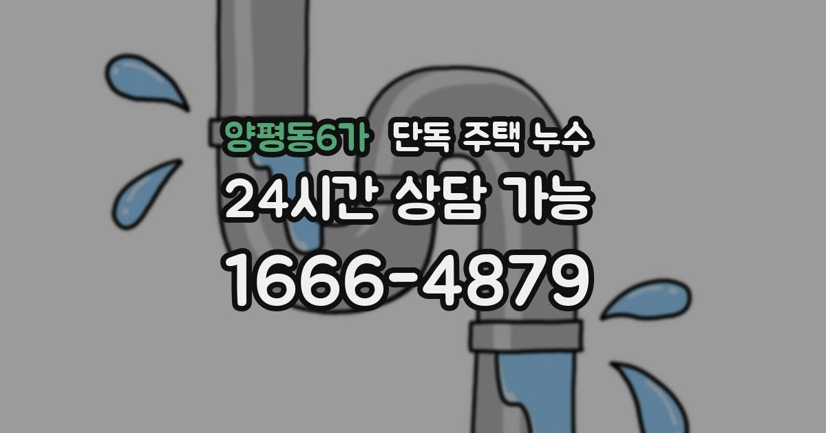 양평동6가 단독 주택 누수