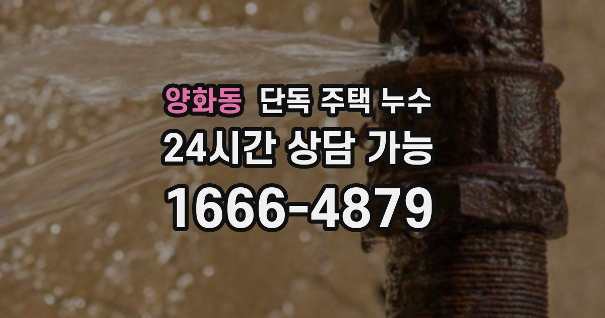 양화동 단독 주택 누수