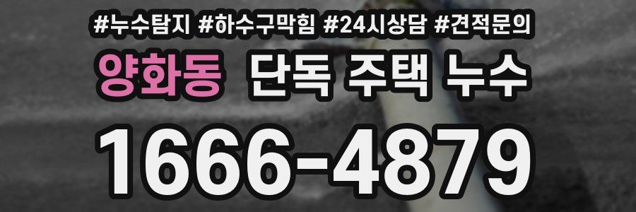 양화동 단독 주택 누수