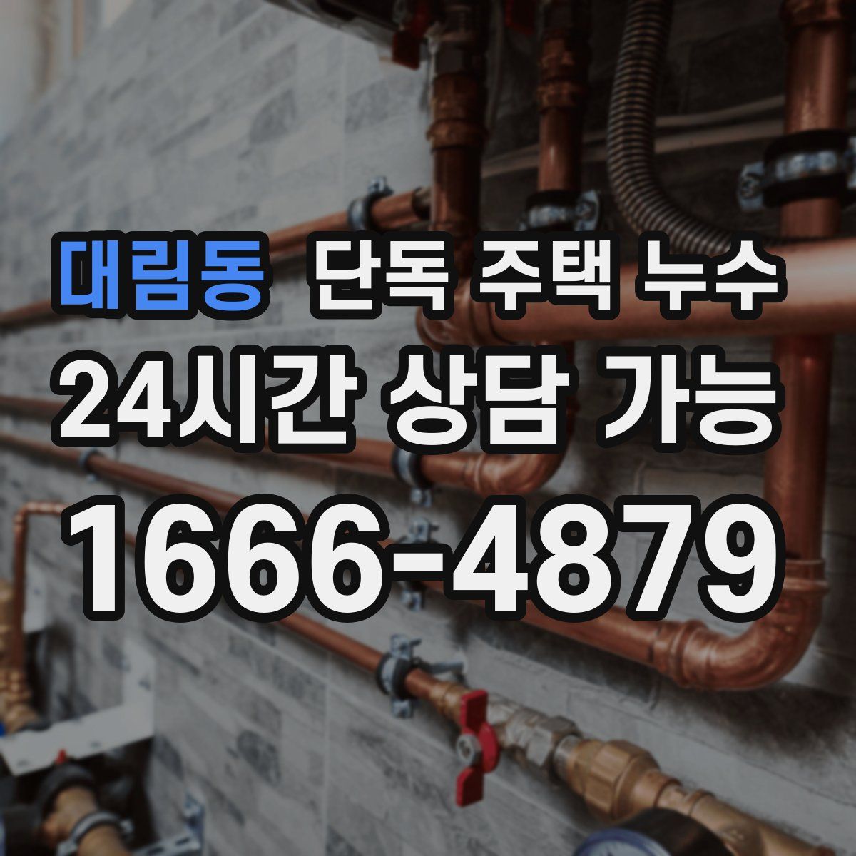 대림동 단독 주택 누수