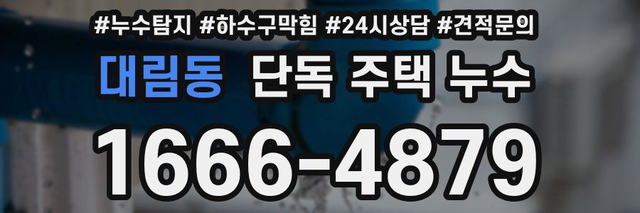 대림동 단독 주택 누수