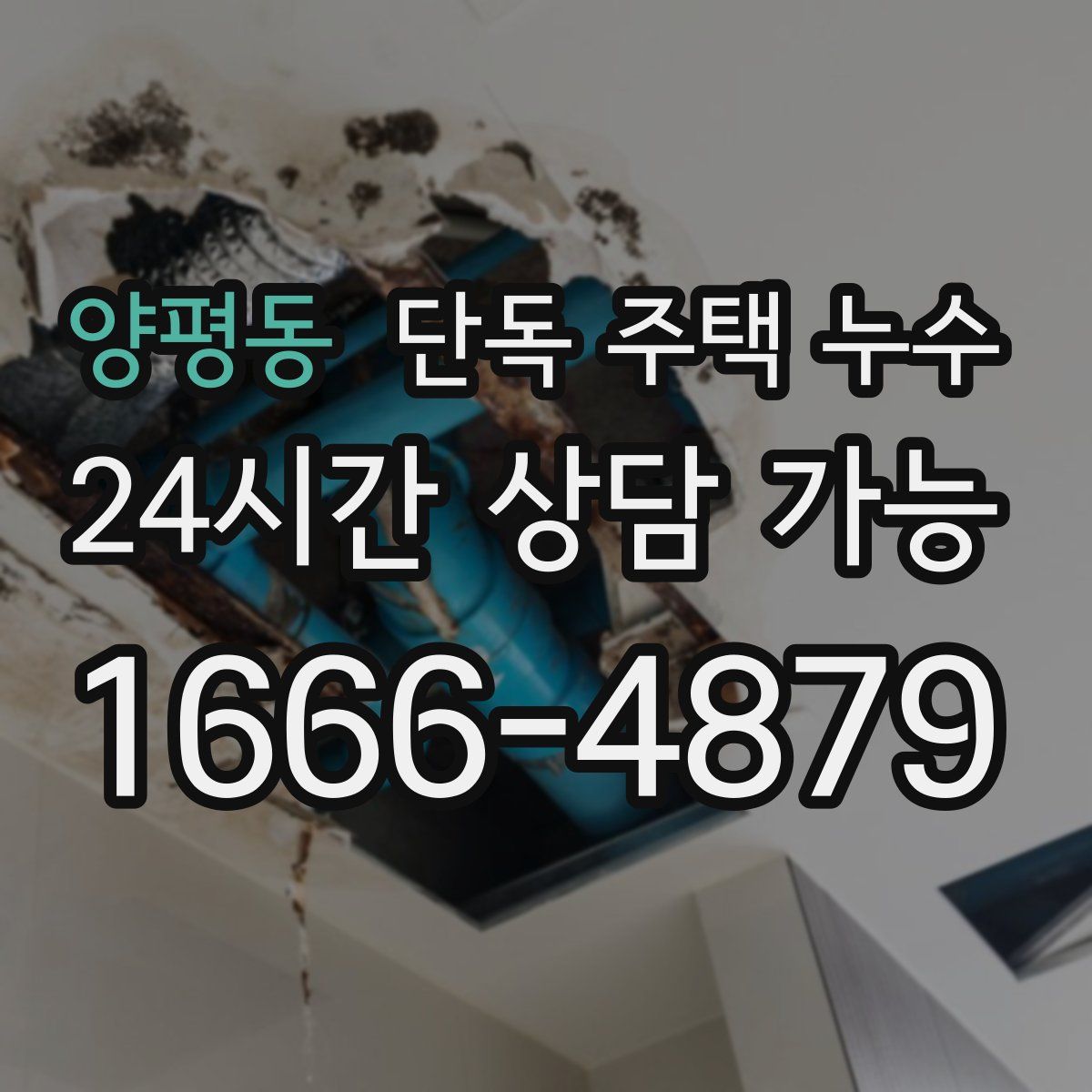 양평동 단독 주택 누수