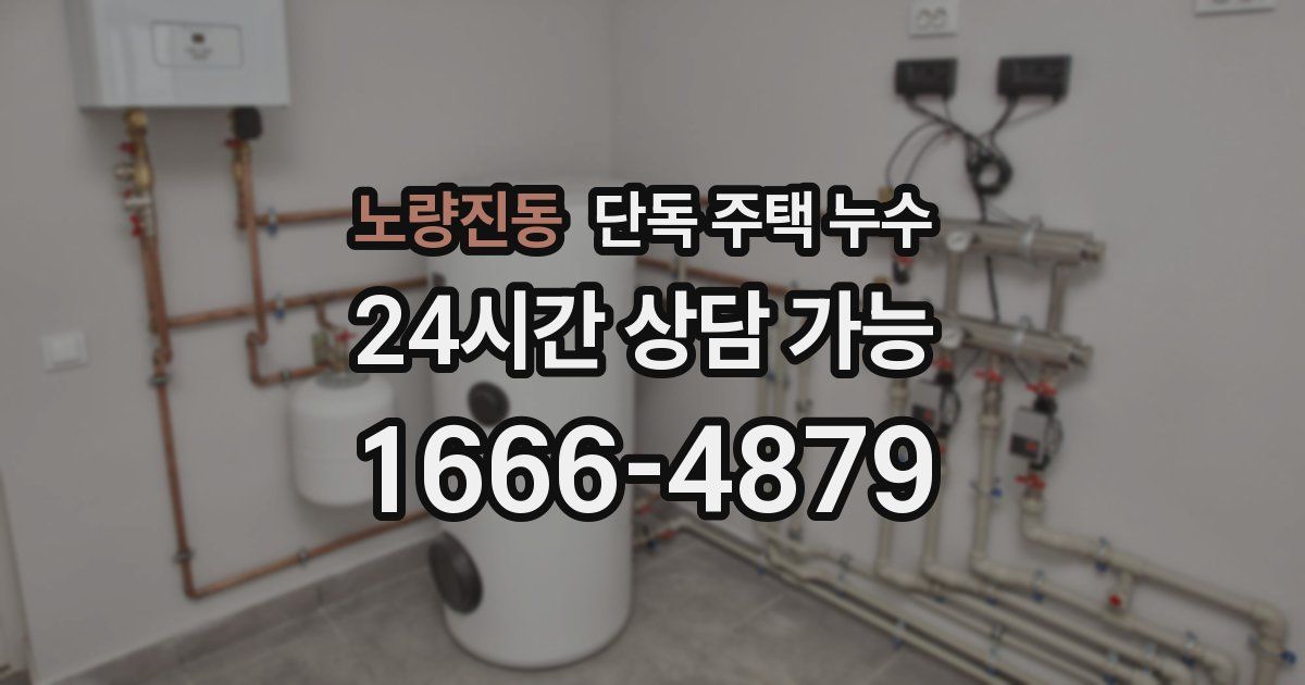 노량진동 단독 주택 누수