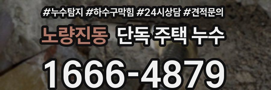 노량진동 단독 주택 누수