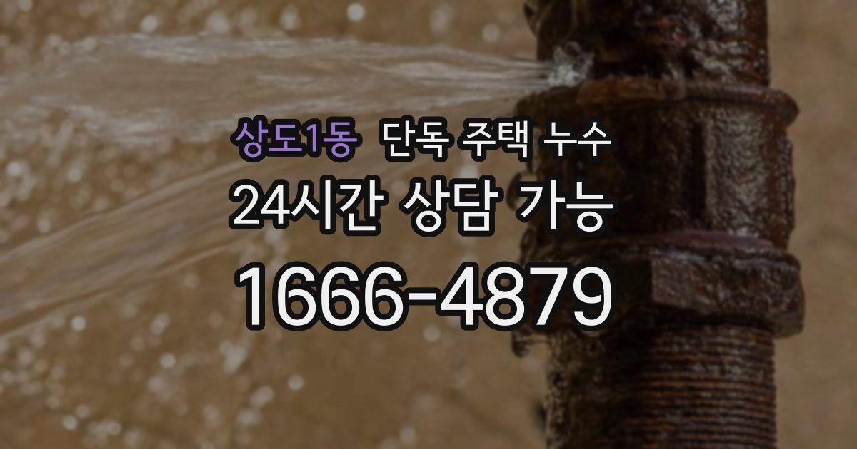 상도1동 단독 주택 누수