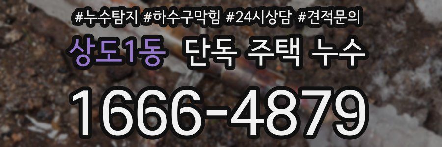 상도1동 단독 주택 누수