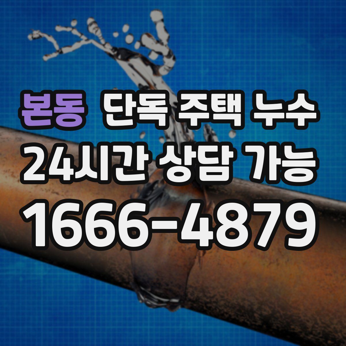 본동 단독 주택 누수