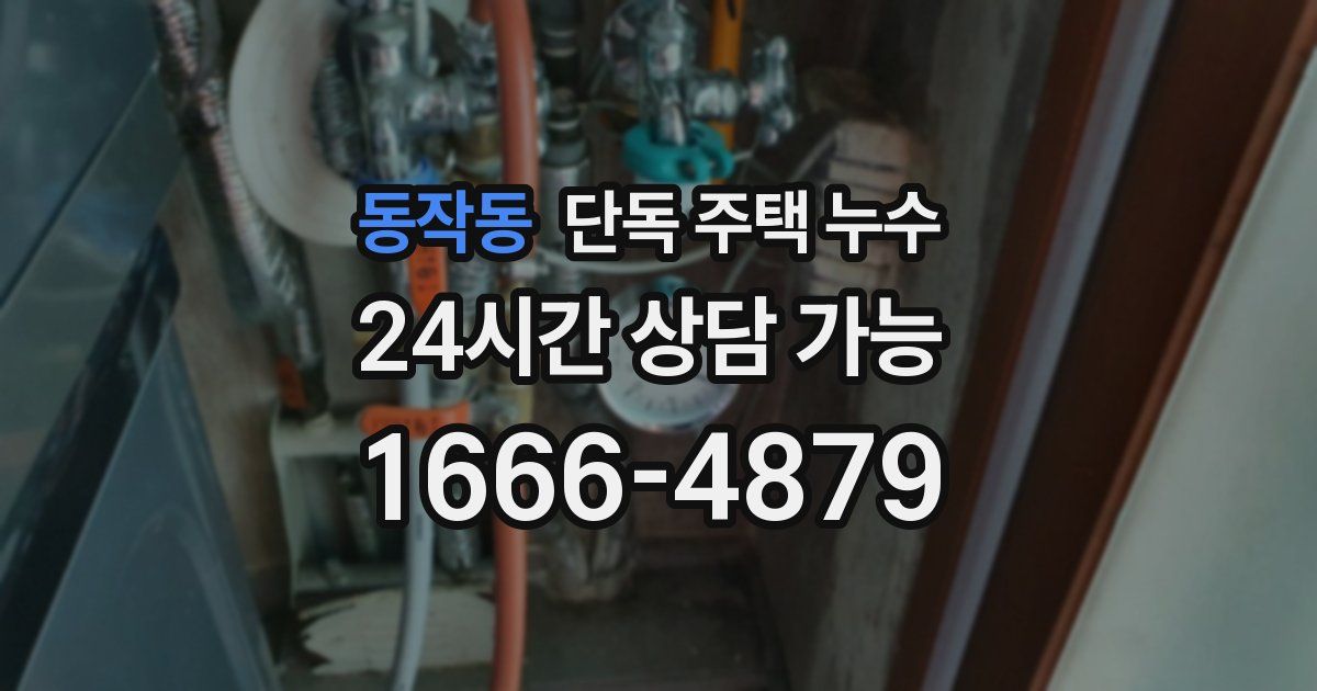 동작동 단독 주택 누수