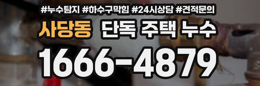 사당동 단독 주택 누수