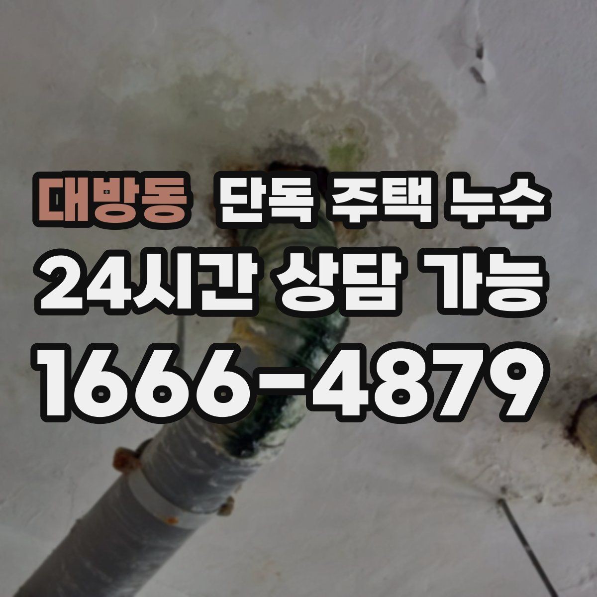 대방동 단독 주택 누수 건조가 안 되는 벽은 왜 위험할까