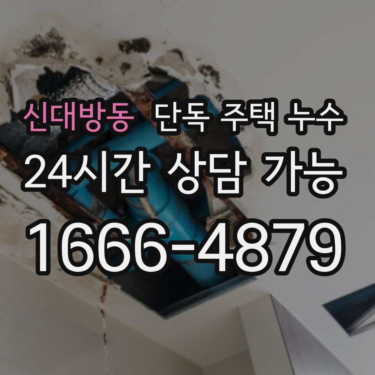 신대방동 단독 주택 누수 외부 수도관 누수 의심될 때 징후