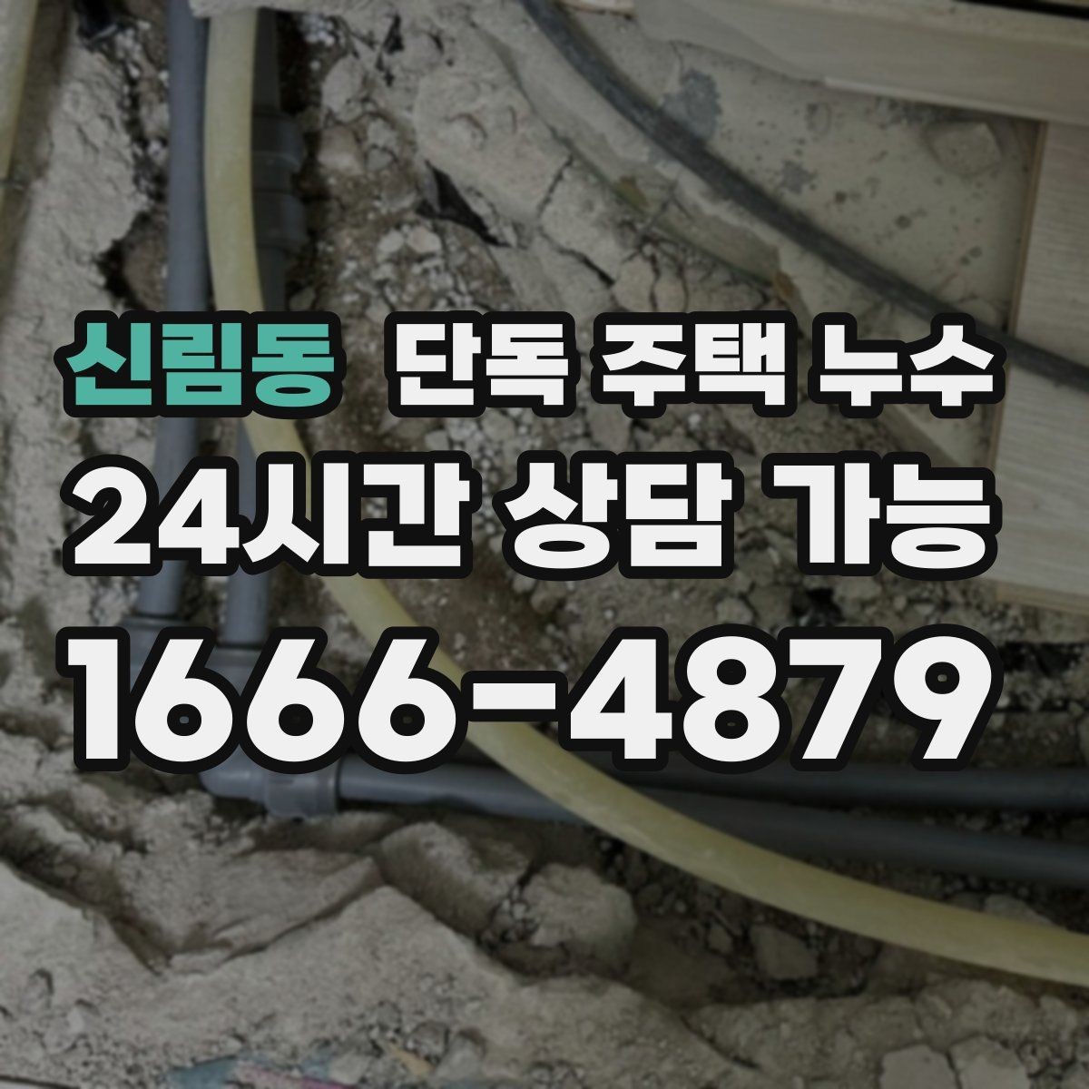 신림동 단독 주택 누수 건조가 안 되는 벽은 왜 위험할까