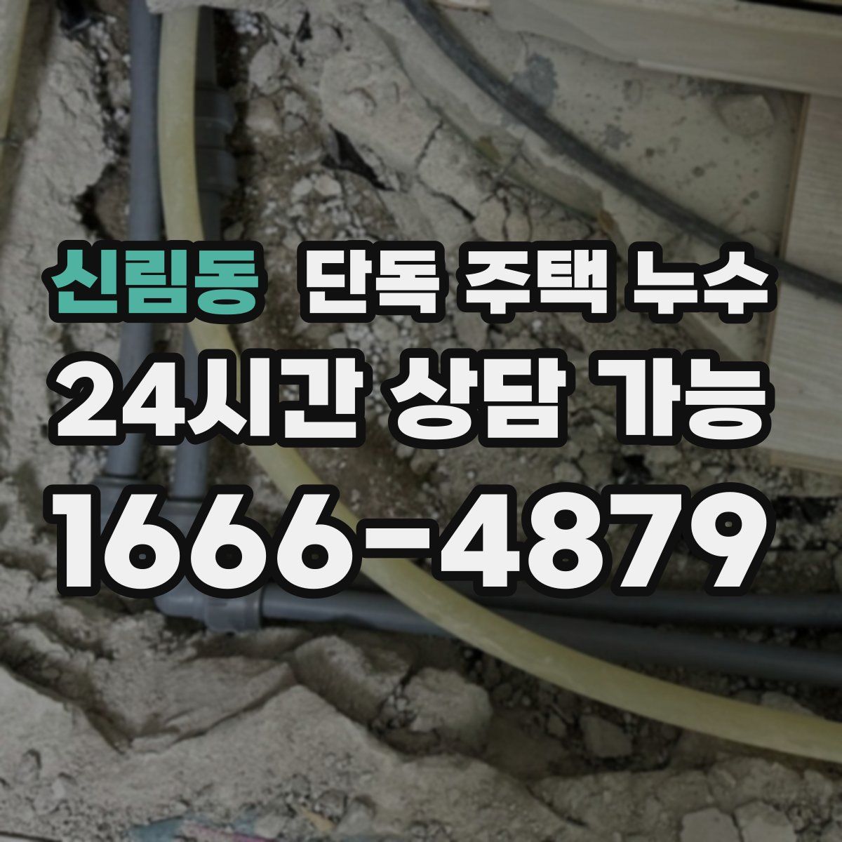 신림동 단독 주택 누수